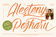 Alesteny Pojharu Handwritten Ink, a Script Font by stylishtype.co (Thumbnail 1 of 20)