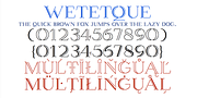 Wetetque, a Serif Font by Ingrimayne Type (Thumbnail 5 of 5)