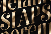Kage Pro - Neoclassical Display Font, a Serif Font by Balibilly Design (Thumbnail 3 of 17)