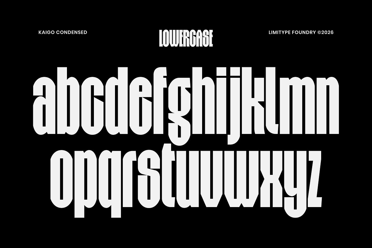 Kaigo - Bold Condensed Font, a Sans Serif Font by limitype (Photo 10 of 12)