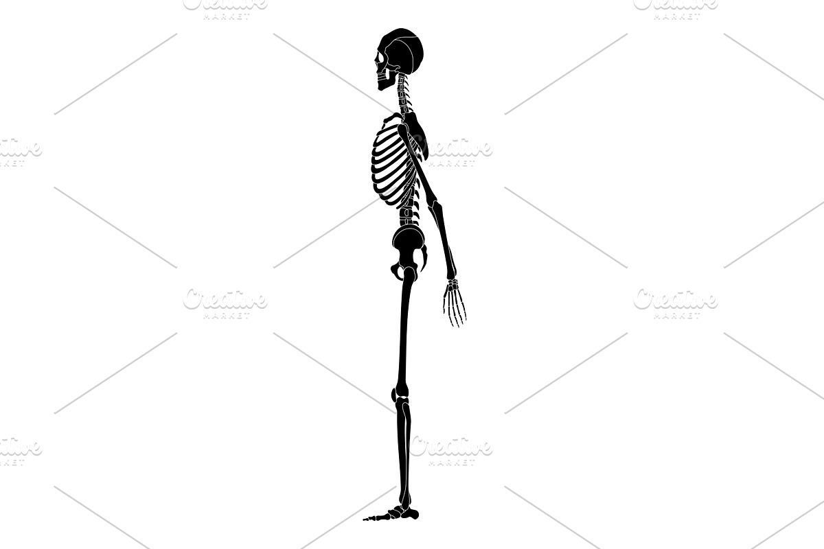 Human skeleton silhouette side, a Person Illustration by Things for designers