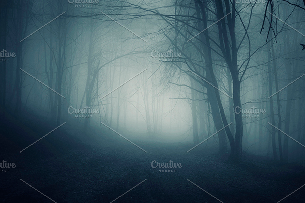 Mysterious forest halloween pack stock photo containing dark and eerie, a Nature Photo by Atmospheric visuals (Photo 2 of 5)