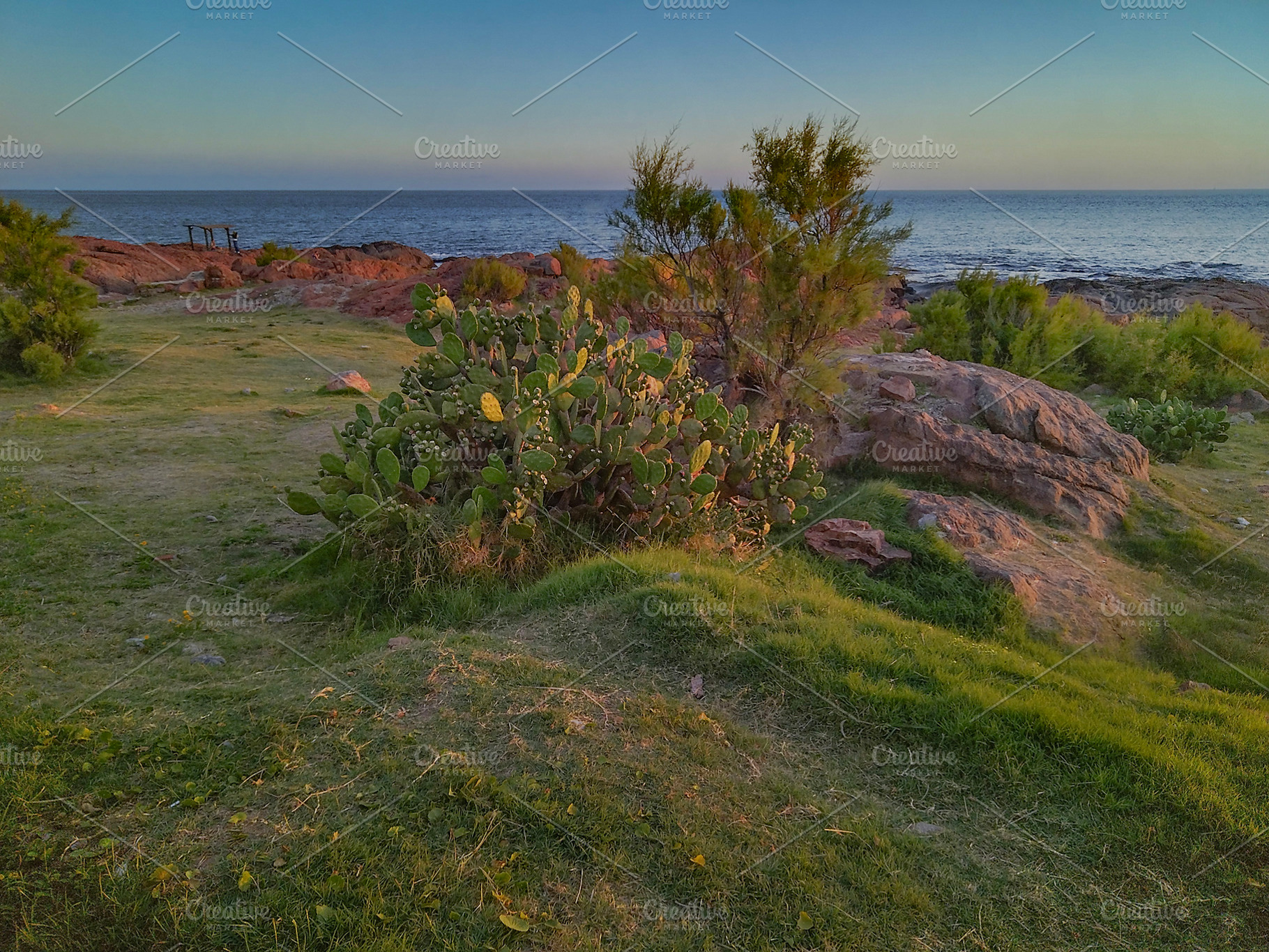 Serene coastal landscape with vegetation, a Nature Photo by DanFLCreativo