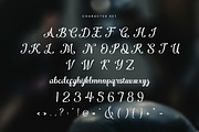 Garnesline - Sports Font, a Script Font by Flawless And Co (Thumbnail 10 of 10)