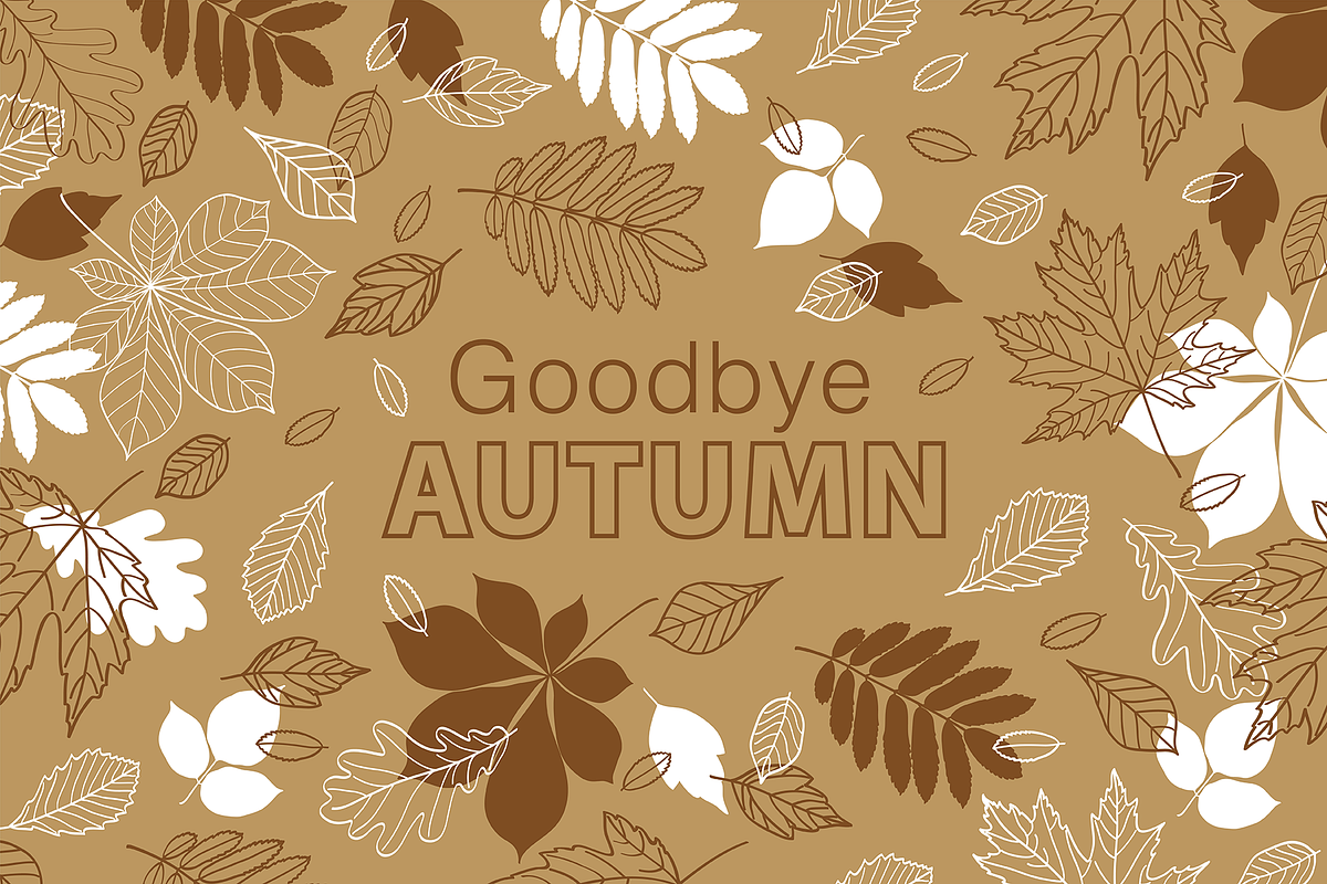 Autumn Seamless Patterns, a Pattern Graphic by Tkoko vectors & patterns (Photo 11 of 11)