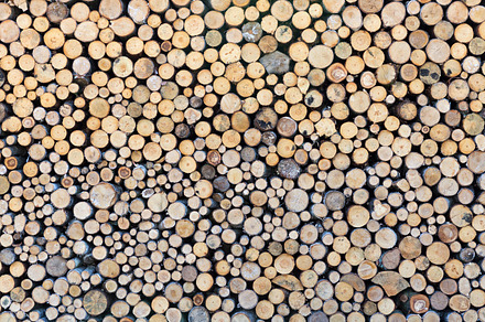Wooden logs stock photo containing wood and wooden, a Nature Photo by SunnyDay