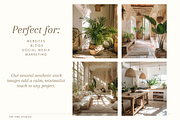 House Plants Stock Photos, a Nature Photo by The Vibe Studios (Thumbnail 3 of 9)