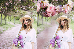 63 Spring Blossom Photo Overlays