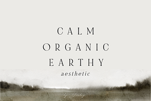 CALM ORGANIC EARTHY Aesthetic