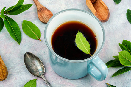 Fresh bay leaves, raw laurel leaves, a Food & Drink Photo by MLunov MLunov
