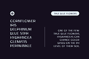 Ludeco Uppercase Modern Display Font, a Sans Serif Font by Wild Ones (Thumbnail 4 of 8)