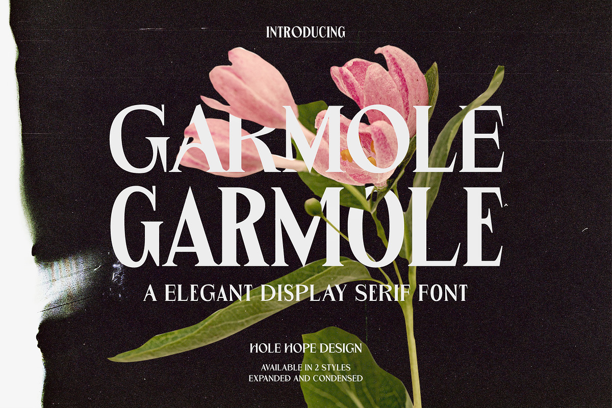 Garmole - Elegant Serif Font, a Serif Font by Hole Hope Design