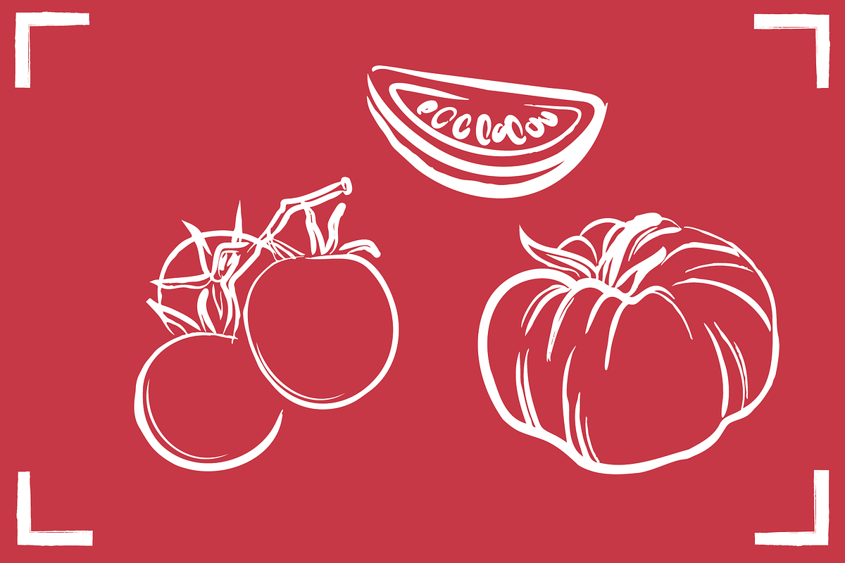 TOMATO LINE ART SET (24 elements), a Food Illustration by Bonfloret Studio (Photo 8 of 9)