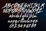 Wildest Metallo Brush, a Handwritten Font by Letterafa Studio (Thumbnail 9 of 10)