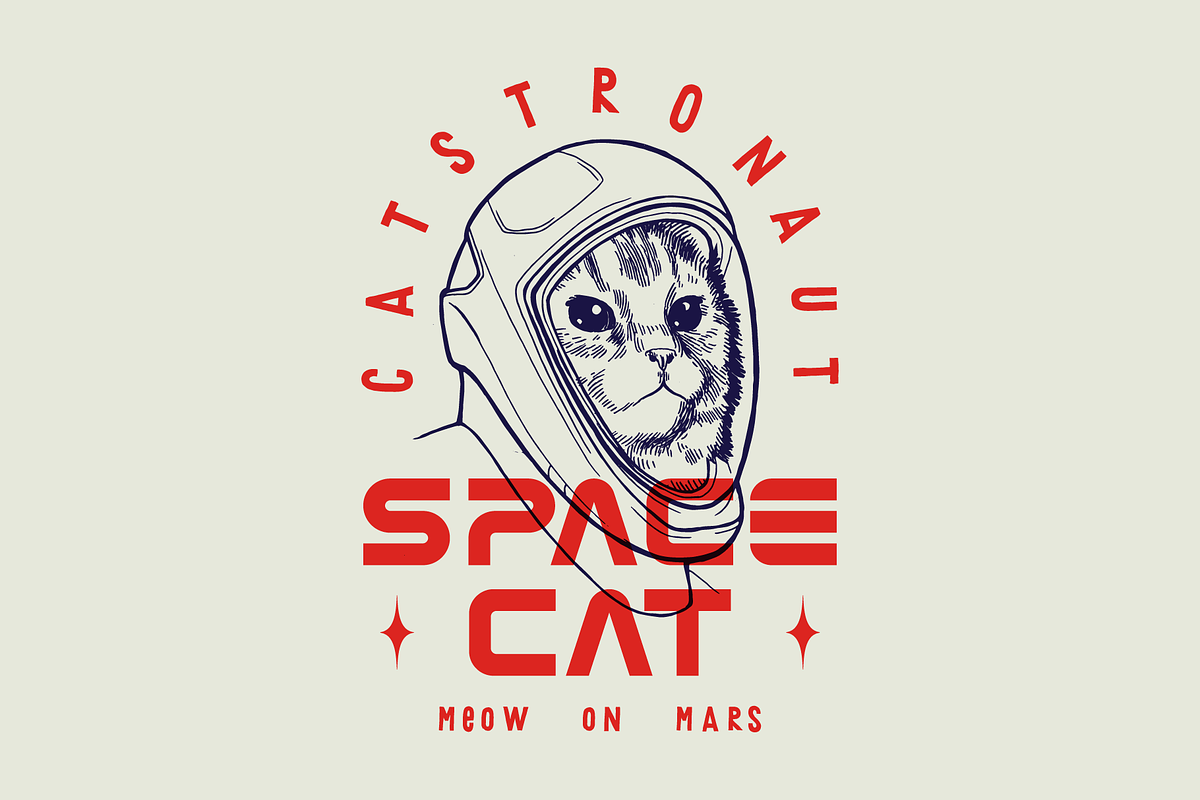 Space Cat, an Illustration by hand draw (Photo 1 of 3)