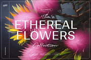 Illustration Bundle - 6580+ elements, a Texture Illustration by Nomad Visuals (Thumbnail 19 of 32)
