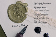 Black Milk: Decorative Ink Script, a Script Font by Mneme (Thumbnail 2 of 11)