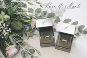 Allure & Grace. Calligraphy, a Script Font by AnMark (Thumbnail 10 of 15)