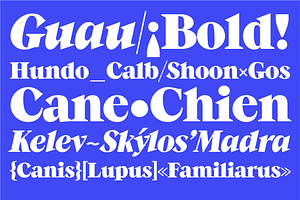 Guau Font
