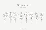 Botanical Line Art Illustrations V1, a Texture Illustration by Kaya Fonts (Thumbnail 2 of 9)