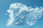 90 Clouds animals against a blue sky, an Animal Illustration by Handmadefont (Thumbnail 34 of 64)