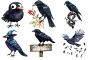 Watercolor Raven Clipart, an Illustration by Designworld (Thumbnail 3 of 5)