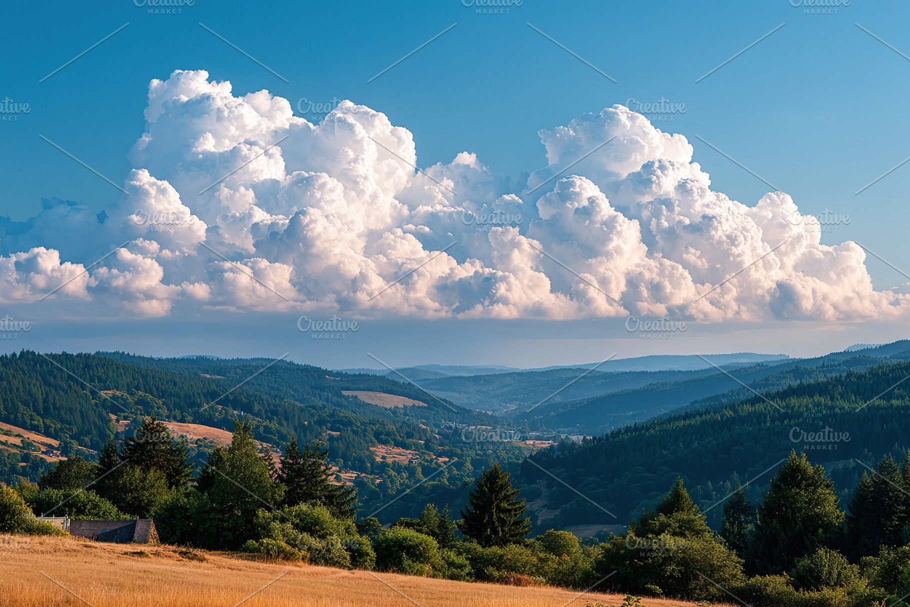 Dramatic clouds forming over the distant forest edge during a sunny day, a Photo by AlyaAnd