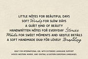 The Daily Notes - Script and Sans, a Handwritten Font by Davide Bassu (Thumbnail 14 of 14)