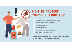 Tick safety. Instructions for, a Healthcare Illustration by YummyBuum