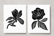 Vintage Botanica II, an Object Graphic by Mii Lab (Thumbnail 12 of 21)