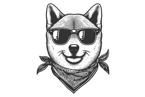 Cool Shiba Inu Dog In Sunglasses