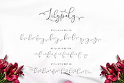 Lilypaly - Handlettering Font, a Script Font by Sronstudio (Thumbnail 18 of 19)