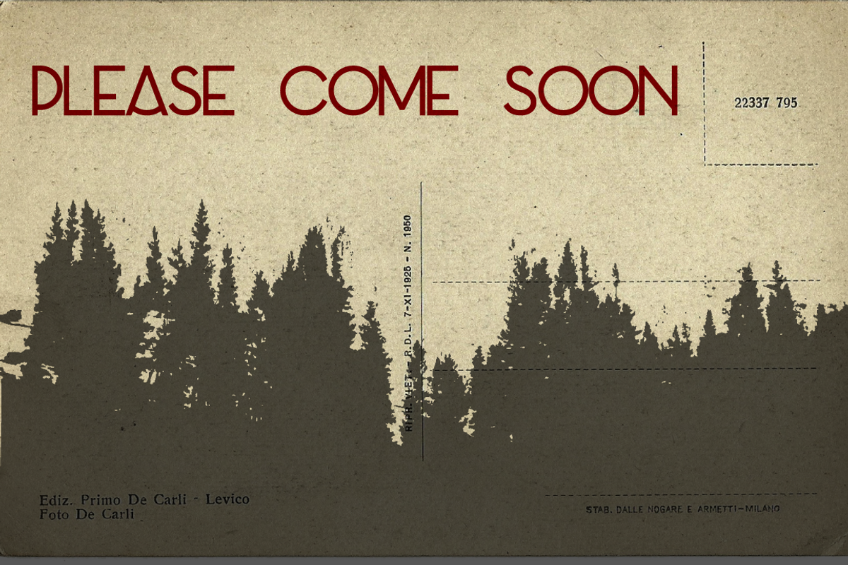 Pine Forest Silhouettes, an Illustration by Treich Design (Photo 1 of 3)