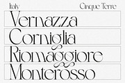 Luxury Wedding Font Bundle, a Serif Font by AndrewPixelType (Thumbnail 31 of 44)