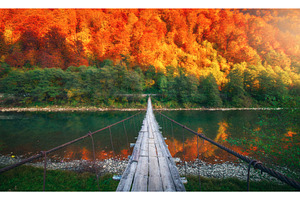 Wooden suspension bridge crossing a, a Nature Photo by den-belitsky