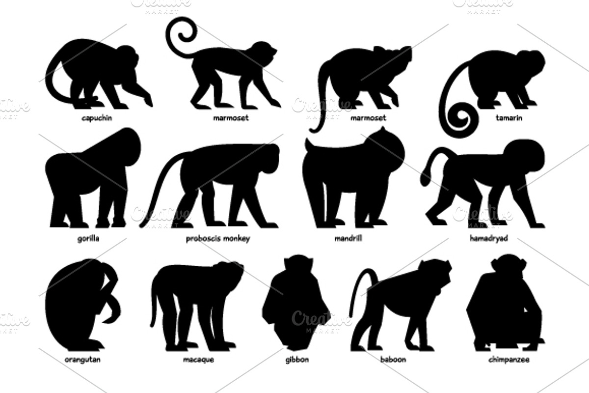 Monkeys, an Icon by ianakauri (Photo 4 of 4)