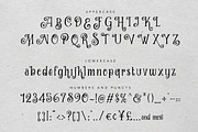 Curely Pro fancy cute lettering font, a Serif Font by Konstantine Studio (Thumbnail 9 of 11)