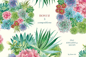 Succulents: 12 Images, 6 Patterns