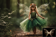 Glowing Wings Overlays, a Photo by HappyNews (Thumbnail 4 of 8)