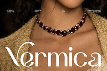 Vermica Modern Elegant Sans Font