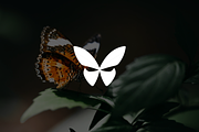 Minimalist Modern Butterfly Logo, a Branding & Logo Template by Luxury Logos (Thumbnail 2 of 4)