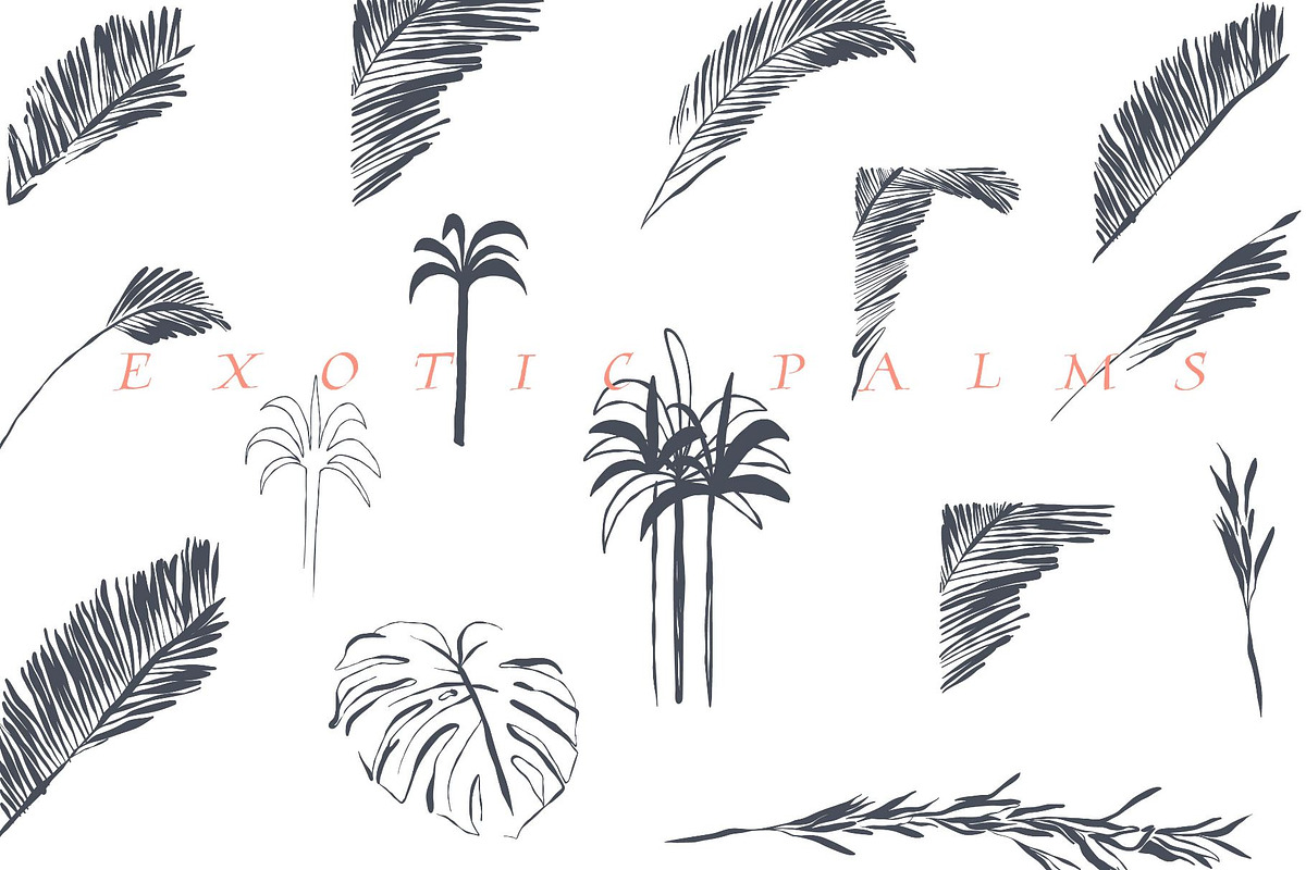 Roar and Palms, an Object Graphic by Anastasy_helter (Photo 3 of 9)
