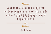 Kareth – Classic Serif font, a Serif Font by productype1 (Thumbnail 11 of 13)