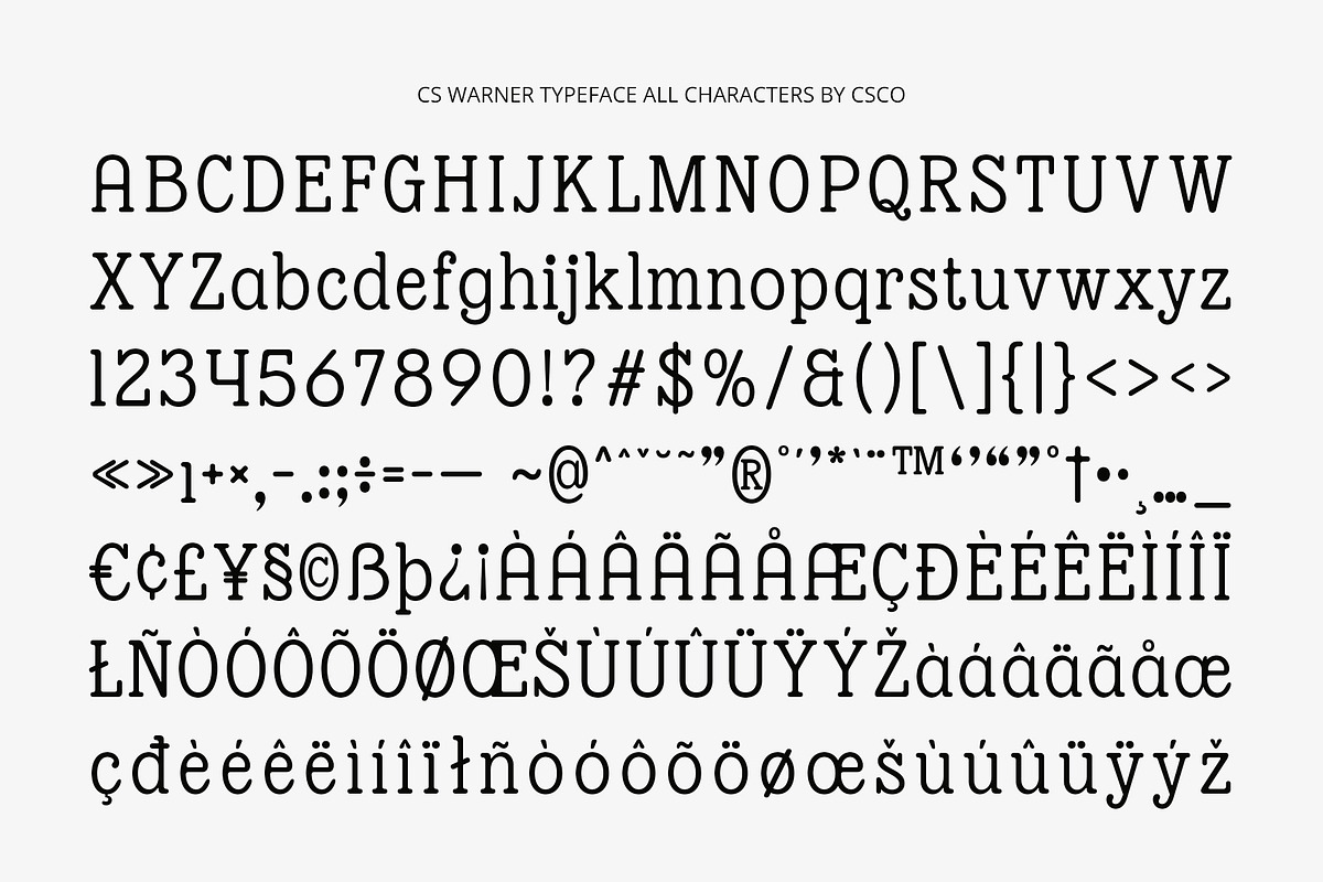 CS Wagner – Modern Font, a Serif Font by Craft Supply Co. (Photo 8 of 8)