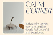 Raena Disco, a Serif Font by Craft Supply Co. (Thumbnail 5 of 8)
