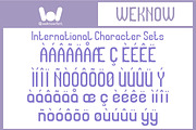 Universal Law font, a Sans Serif Font by weknow (Thumbnail 8 of 8)