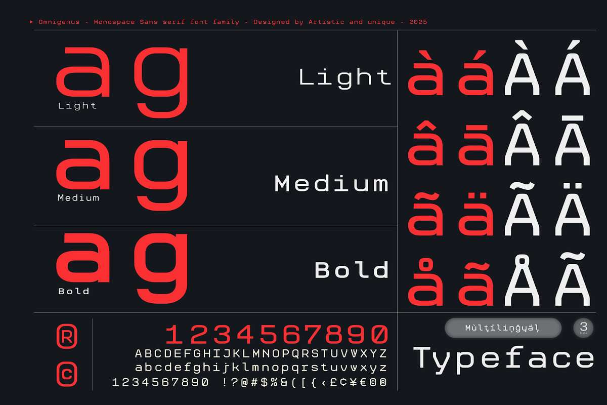 Omnigenus - Monospace Sans serif, a Sans Serif Font by Artistic & Unique (Photo 6 of 15)