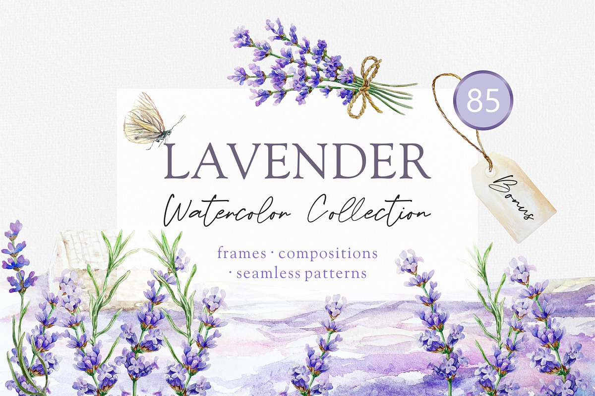 Lavender. Watercolor clip art., a Decorative Illustration by Farida Bik (Photo 1 of 14)