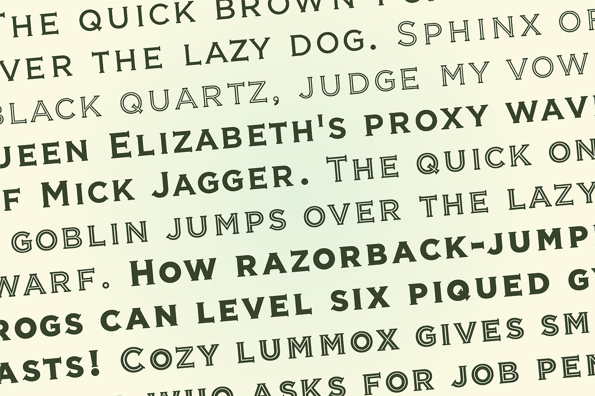 Veneer preview 3