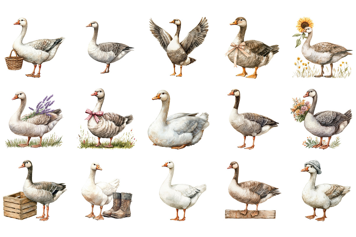 Watercolor Rustic Goose Clipart, an Illustration by Designking (Photo 2 of 5)
